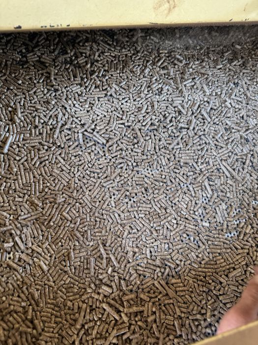 Соснова гранула Пелетта  А1 Паливна гранула пилета пиллета