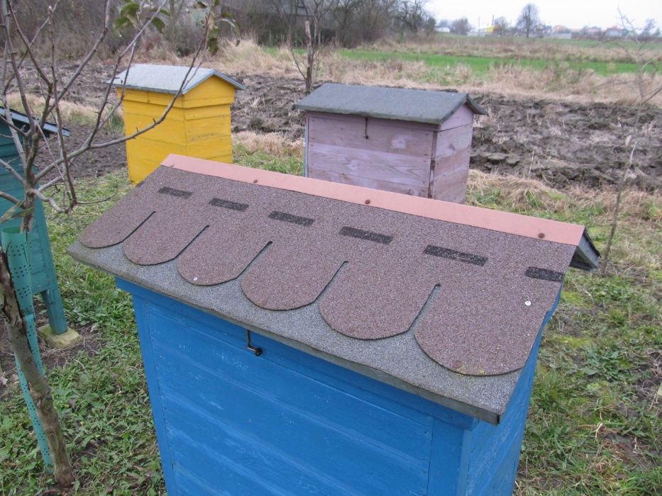 Rodziny pszczele na ramkach różnych sprzedam