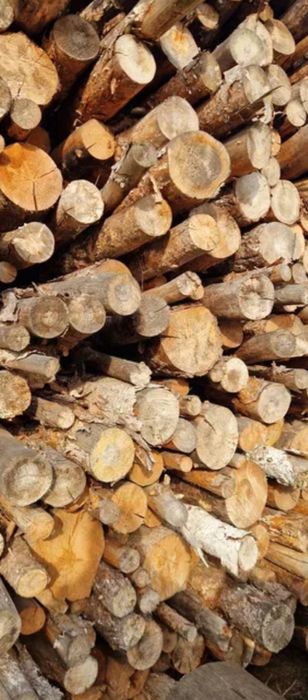 Drewno opałowe sosnowe