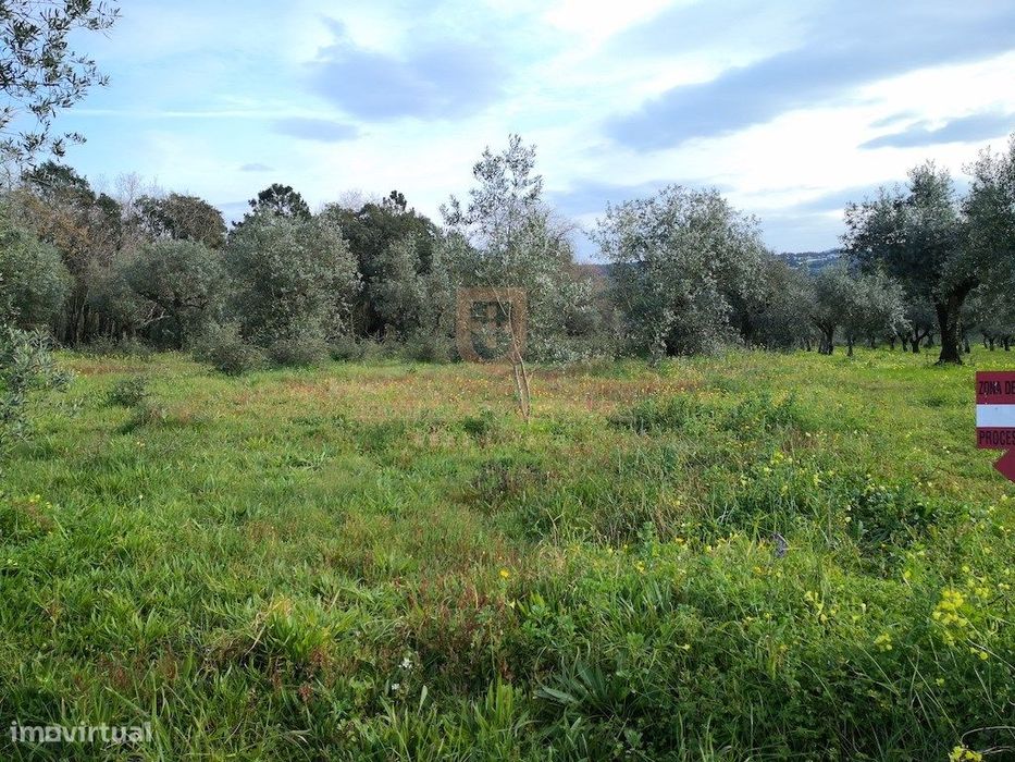 Excelente oportunidade de investimento para moradias - Fatima