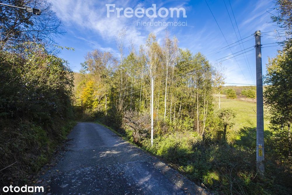 Działka widokowa z lasem | 24a