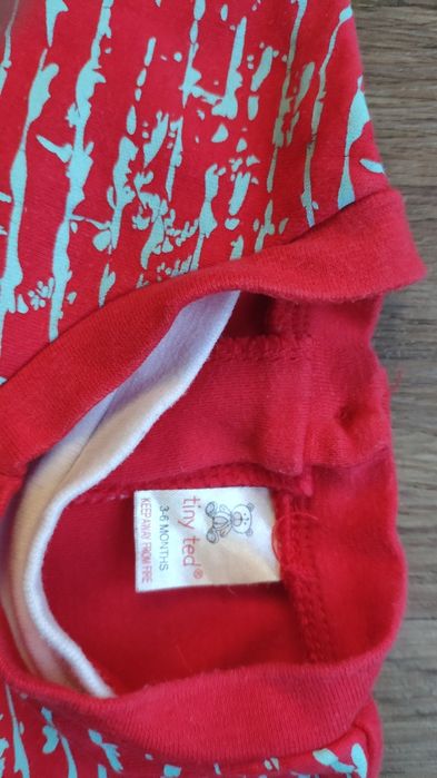 t-shirt czerwony Tiny ted