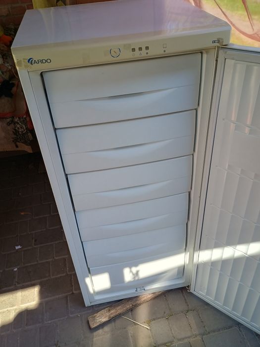 Продається морозильна камера Ardo fr20 sB