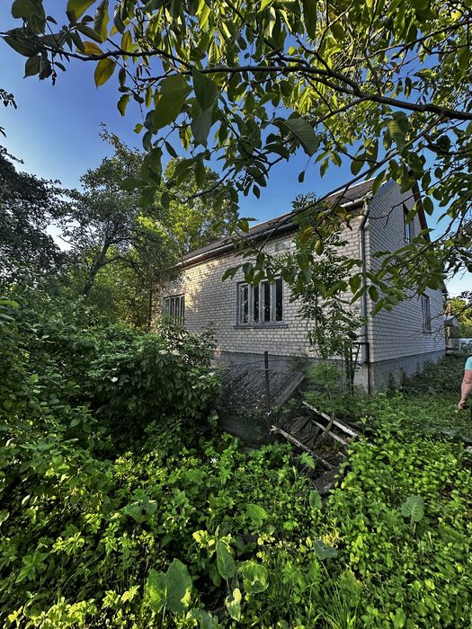 Продаж будинок з ділянкою 8 сот Золочівський район, с. Бортків, Медова