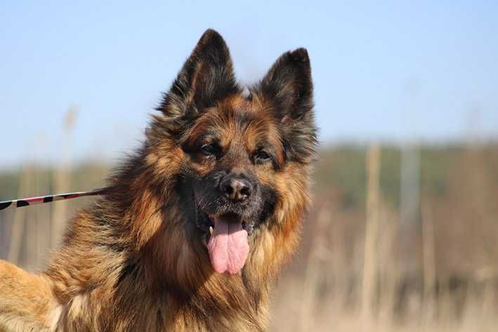 Filip szuka wspaniałego domu !