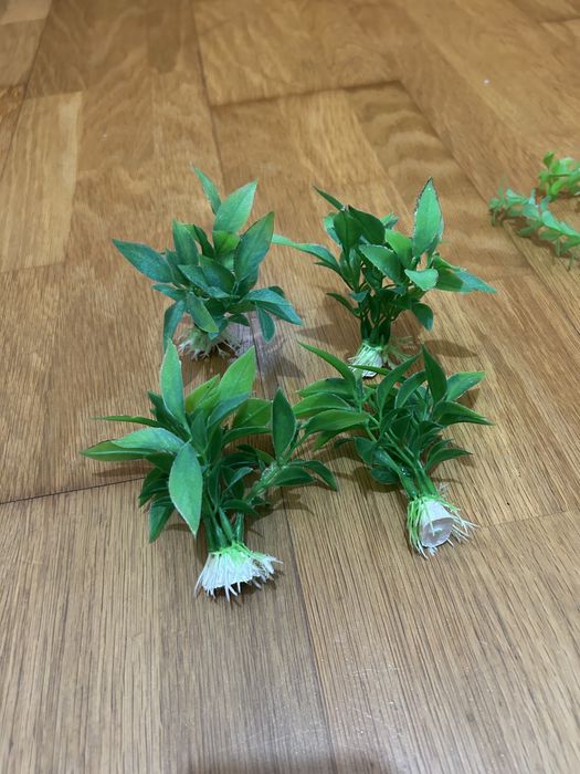 Plantas de plástico para aquário