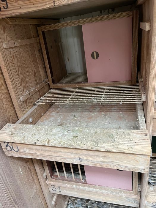 Cele lęgowe dla gołębi z szufladą i rusztem