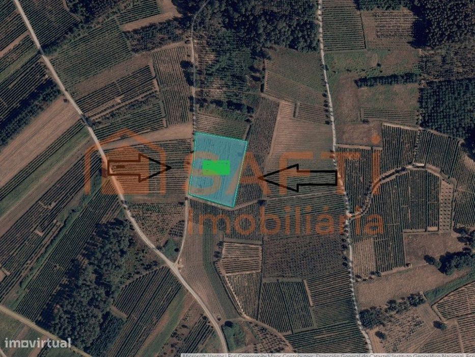 Plot of Land Measuring 5870 m2 in São Lourenço do Bairro