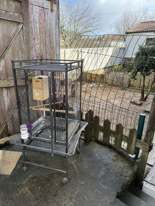 Gaiola para papagaio