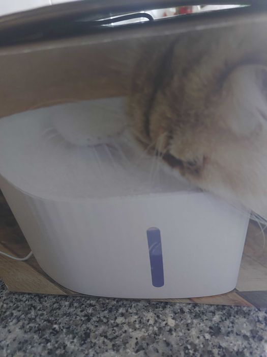 Fonte de água para cães e gatos nova
