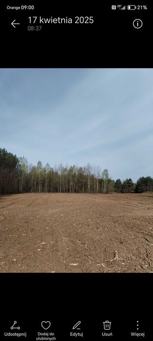 Wycinka Biomasa Nieuzytki Mulczowanie Karczowanie Rekultywacja