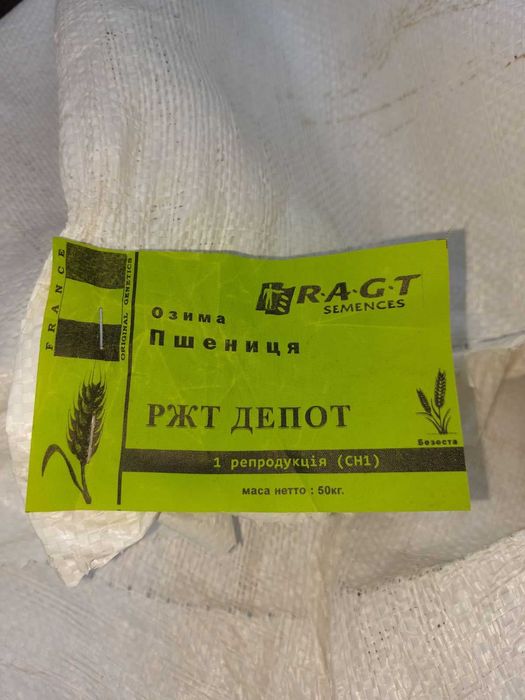 Продам  озиму пшеницю та озимий ячмінь