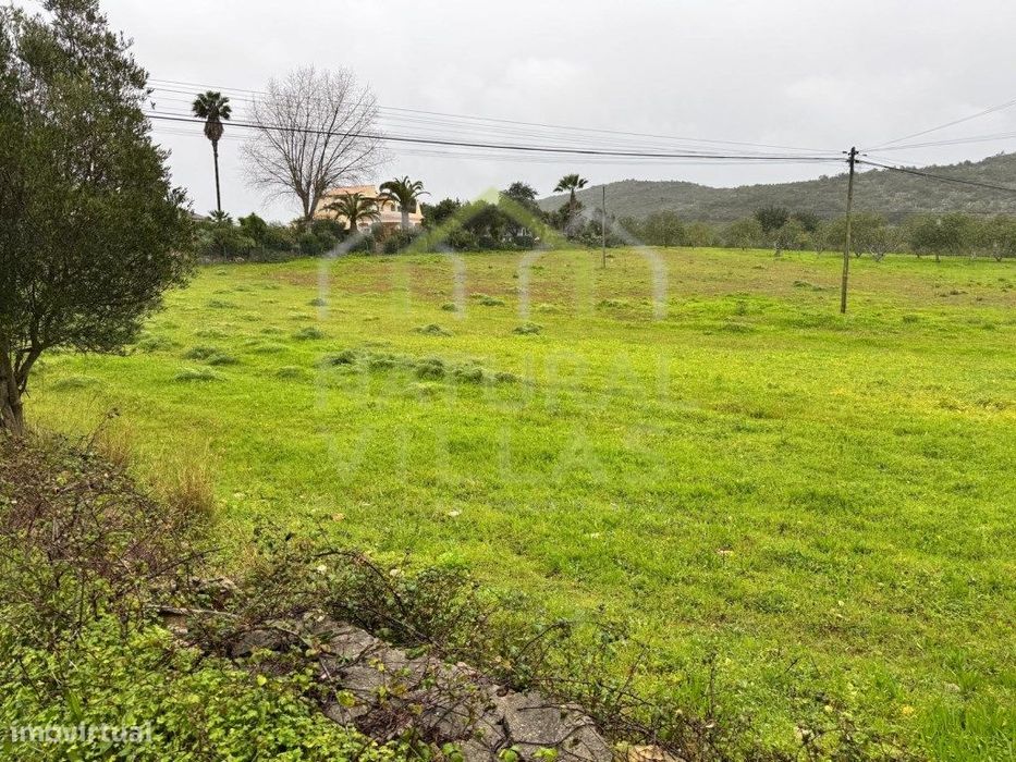 Terreno Rústico junto à Estrada, Santa Bárbara de Nexe — Santa Bárbara de Nexe, Faro
