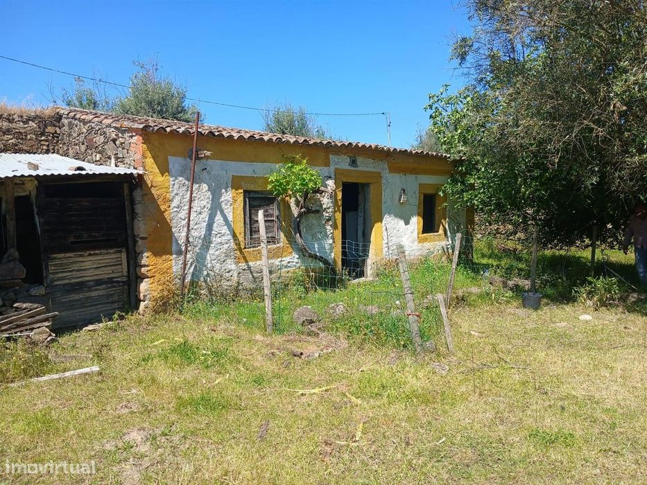 Quinta