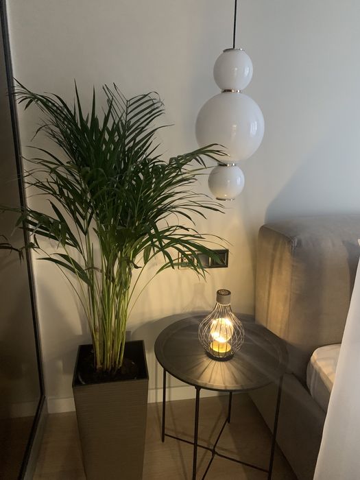 SPA-Апартаменти Подобово