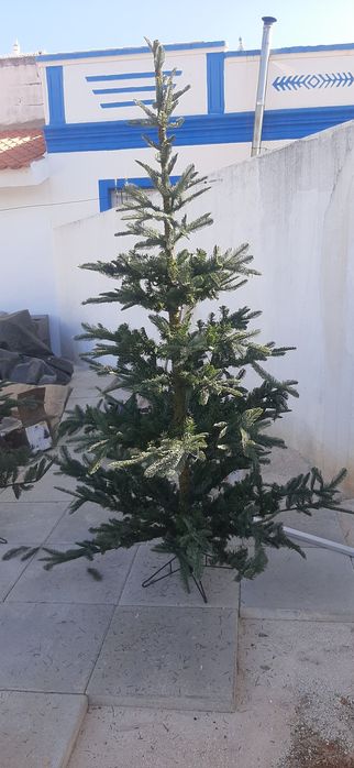 Árvore de Natal 210cm