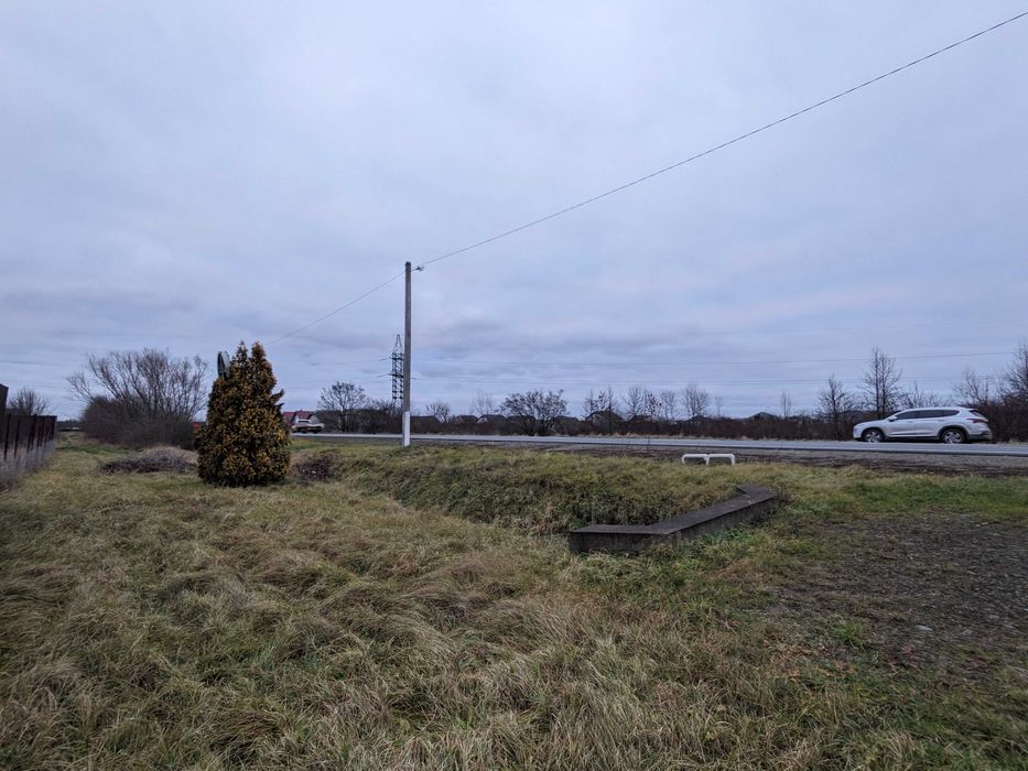 Зем. ділянка 40 сот. під комерцію Старі Кривотули (4)