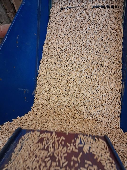 Pellet sosnowy 100 %  jasny czysty