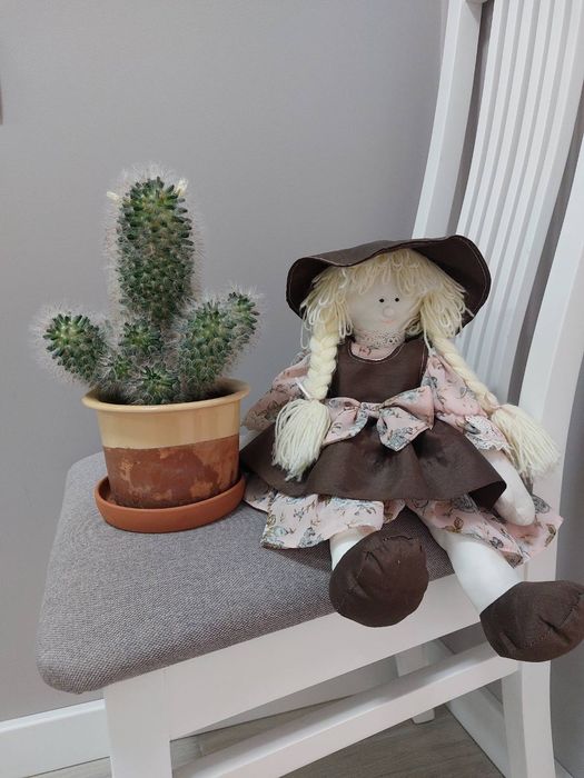 Мамілярія, кактус, сукуленти, вазон