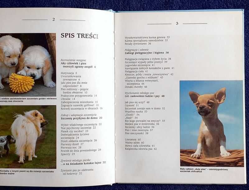 SZCZENIAK przybywa do DOMU - Brigitte Harries