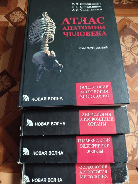 Комплект атласов анатомии человека Синельников  в 4-х томах  2012 год  Анатомія людини атлас
