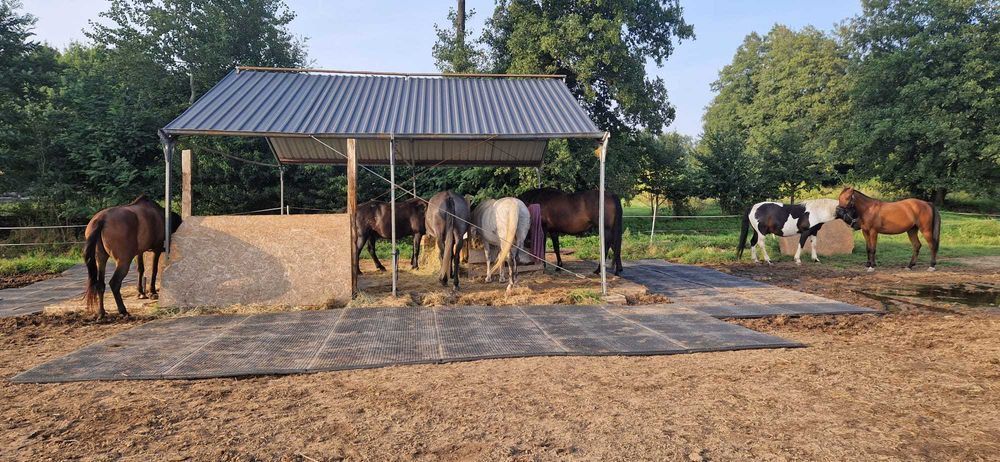 Mata dla koni 120×80 cm / 1m2 — myjki dla koni, boksy, paśniki