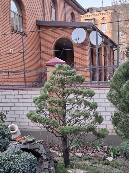 Ландшафтний дизайнер