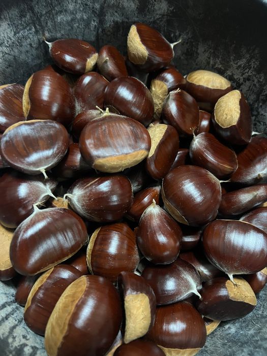 Castanhas 2026 - 3€/kg