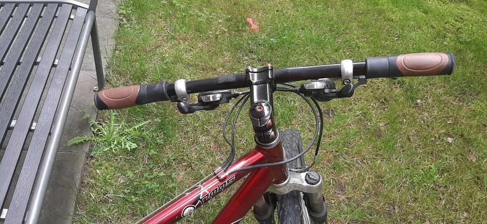 Rower Leader Fox, 26"