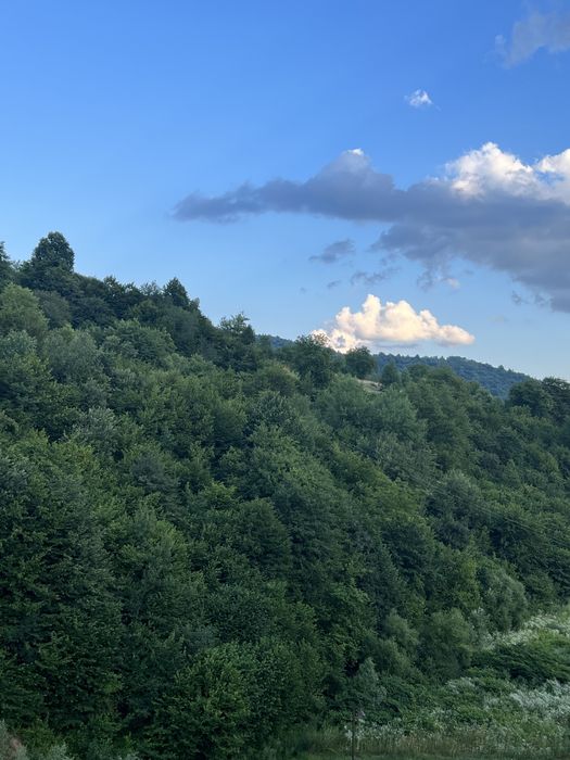 Відпочинок  від тривог ,в теплі та зі світлом ‼️Закарпаття  ‼️Свалява