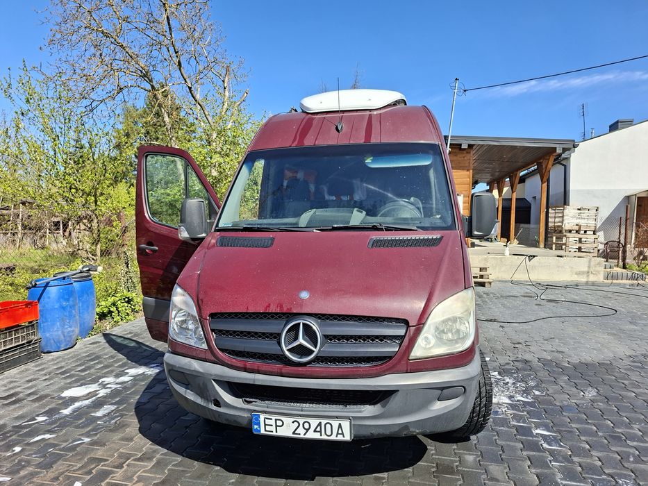Chłodnia Sprinter 315