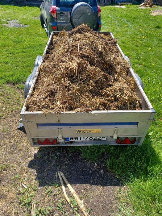 Obornika kurzy  z dostawą