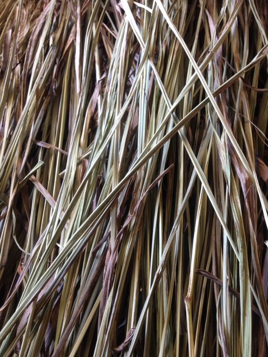 Erva Príncipe p/ chá