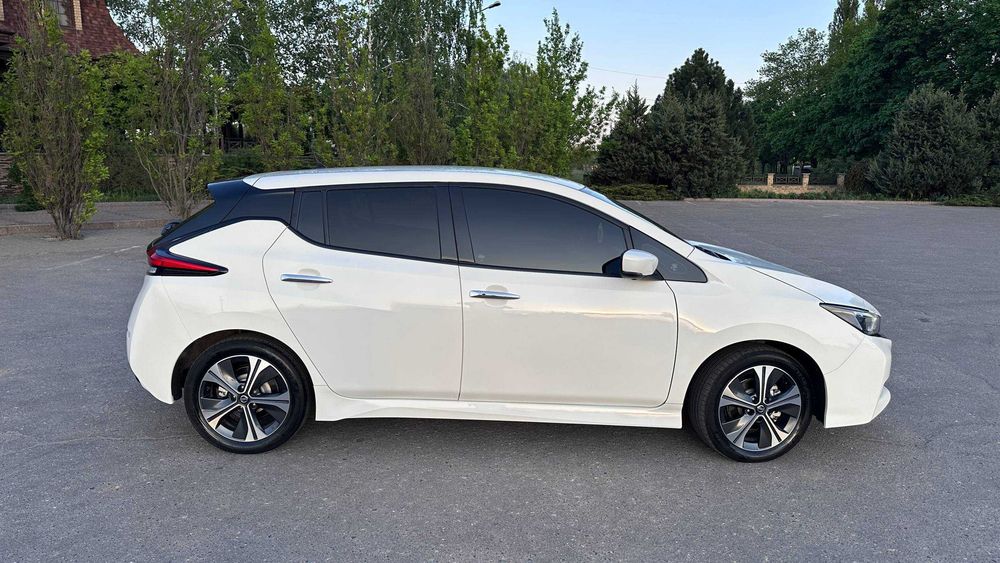 Nissan Leaf 2020