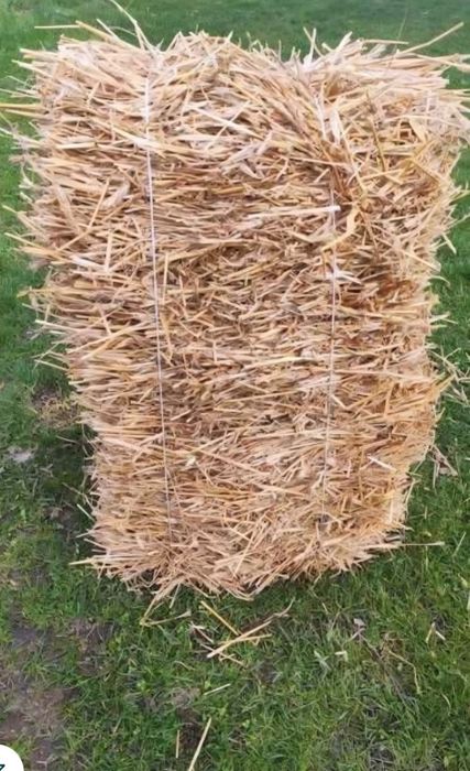 Słoma 3 letnia ,kostki