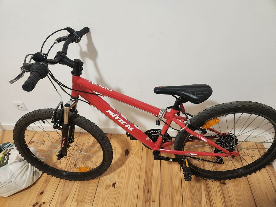 Bicicleta Senior Junior