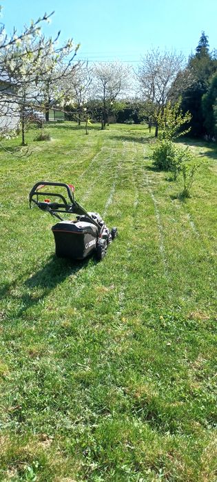 Usługi ogrodnicze – kompleksowa pomoc na Twojej działce!