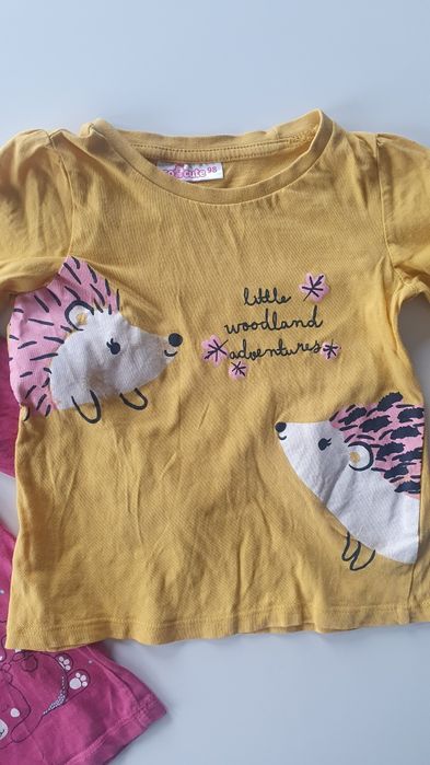 Koszulka na długi rękaw 92 98 Pepco Bluzka jeż misiu