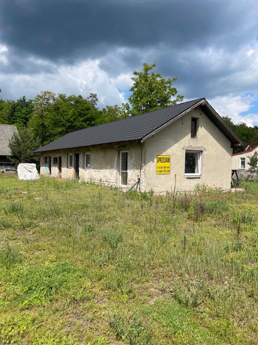 Działka 73 ar z zabudowanimi i lasem pod Połańcem na sprzedaż wyjątkowa lokalizacja - View 2
