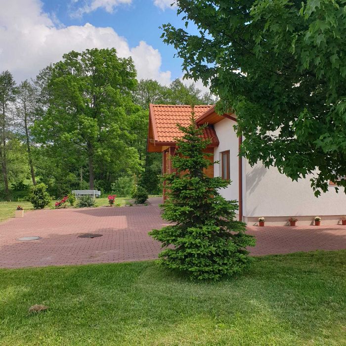 Zabłocie Sylwester! WOLNY