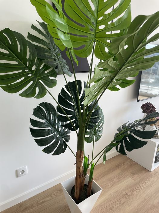 Beautiful artificial Adam's rib trees with delivery64585090243585122