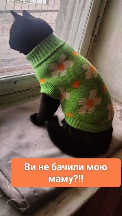 Мамо,знайдись,я тебе дуже чекаю!