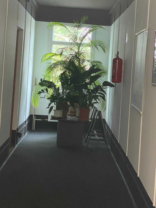 wynajmę pomieszczenie biurowe