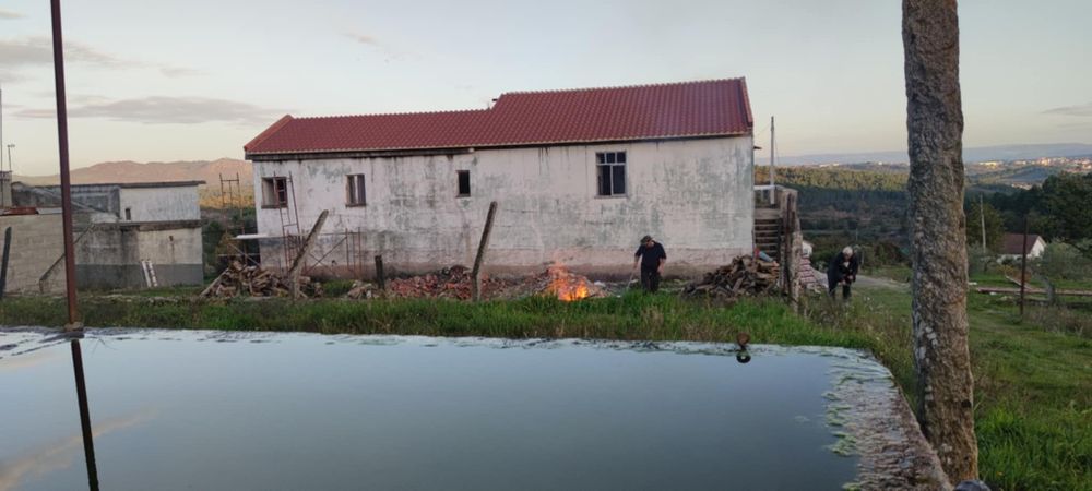 Quinta com 6 hectares