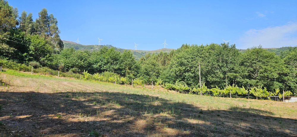Agricultural Plot of 8,700 m² in Basto (S. Clemente), Celorico de Basto