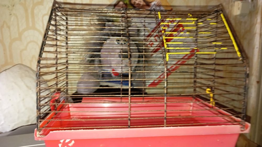 Клітка  для хомячка