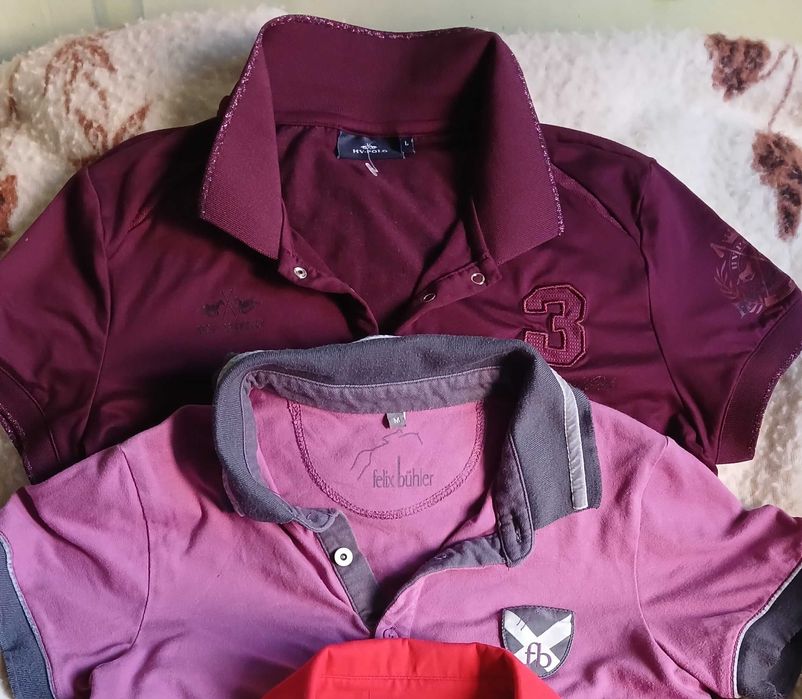 Поло конный спорт