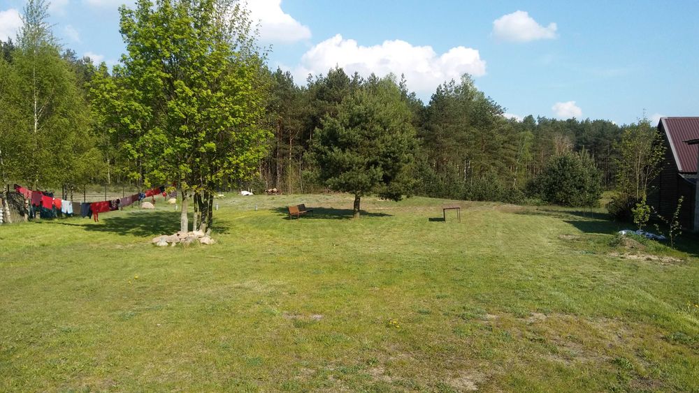 wynajmę mieszkanie Osiek