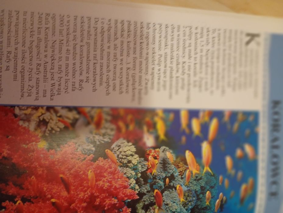 Encyklopedia zwierząt 650stron
