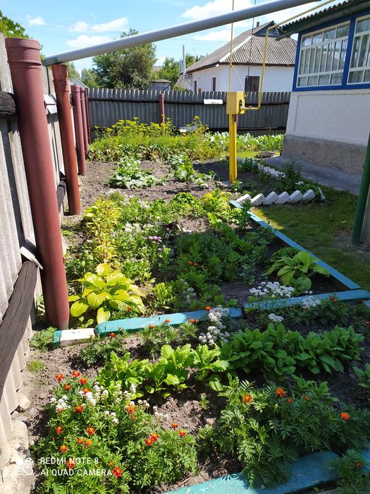 Продається будинок у м. Бахмач